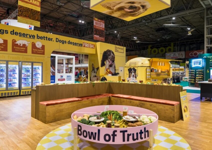 Elevating Brand Engagement Through Custom-Built Exhibition Environments
